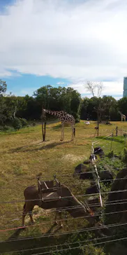 天王寺動物園に投稿された画像（2021/10/24）