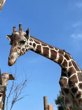 天王寺動物園に投稿された画像（2021/10/24）