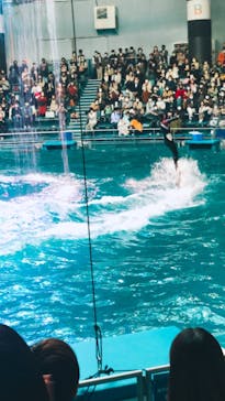 マクセル アクアパーク品川に投稿された画像（2021/10/24）