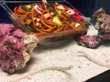 マクセル アクアパーク品川に投稿された画像（2021/10/24）