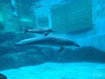 名古屋港水族館に投稿された画像（2021/10/25）