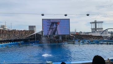 名古屋港水族館に投稿された画像（2021/10/25）
