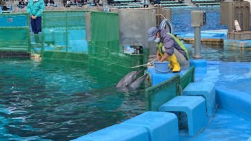 名古屋港水族館に投稿された画像（2021/10/25）