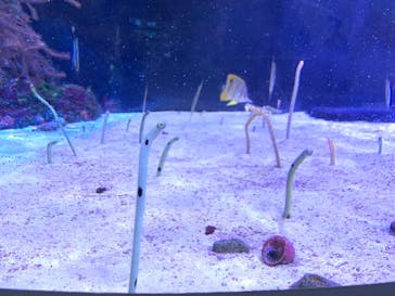 名古屋港水族館に投稿された画像（2021/10/25）