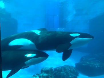 名古屋港水族館に投稿された画像（2021/10/25）