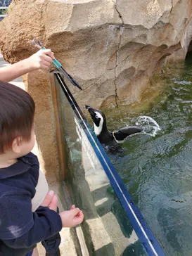 神戸どうぶつ王国に投稿された画像（2021/10/25）