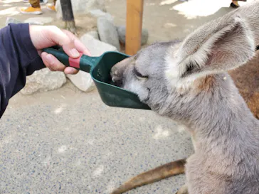 神戸どうぶつ王国に投稿された画像（2021/10/25）
