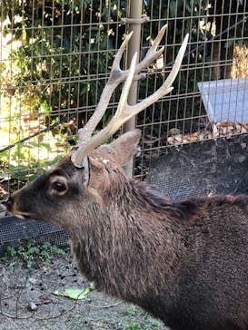 東武動物公園に投稿された画像（2021/10/25）