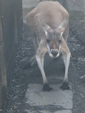 東武動物公園に投稿された画像（2021/10/25）