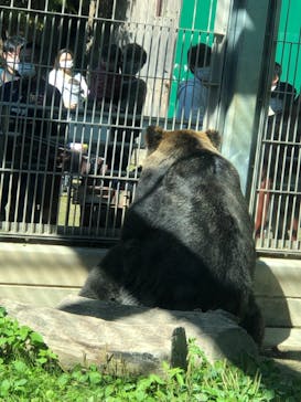 東武動物公園に投稿された画像（2021/10/25）