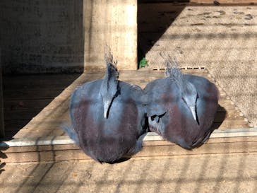 東武動物公園に投稿された画像（2021/10/25）