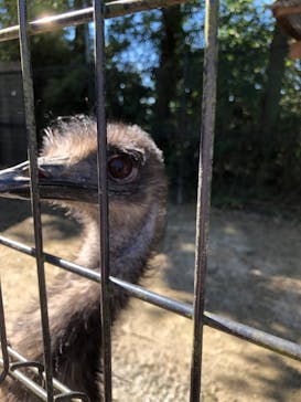 東武動物公園に投稿された画像（2021/10/25）