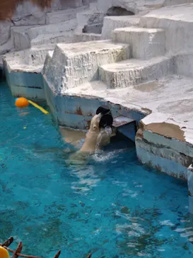 天王寺動物園に投稿された画像（2021/10/25）