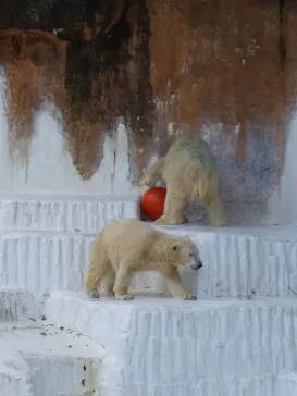 天王寺動物園に投稿された画像（2021/10/25）