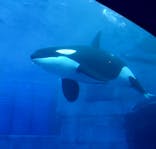名古屋港水族館に投稿された画像（2021/10/25）