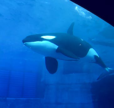 名古屋港水族館に投稿された画像（2021/10/25）