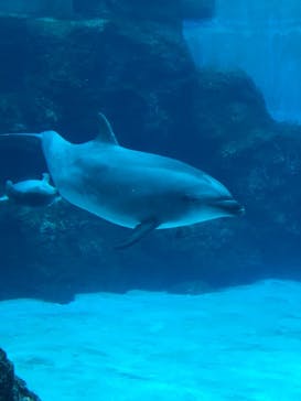 名古屋港水族館に投稿された画像（2021/10/25）