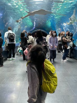 マクセル アクアパーク品川に投稿された画像（2021/10/25）