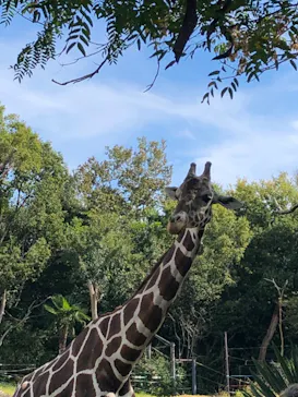 天王寺動物園に投稿された画像（2021/10/25）