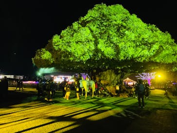 東京メガイルミに投稿された画像（2021/10/25）