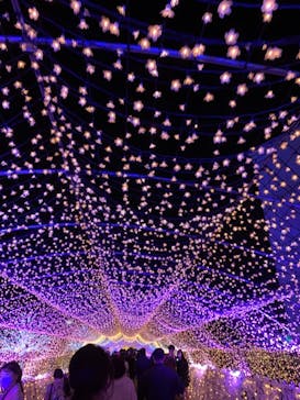 東京メガイルミに投稿された画像（2021/10/25）