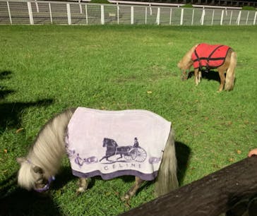 東京メガイルミに投稿された画像（2021/10/25）