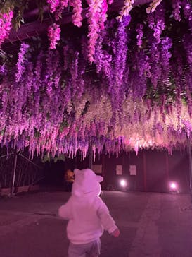 東京メガイルミに投稿された画像（2021/10/25）