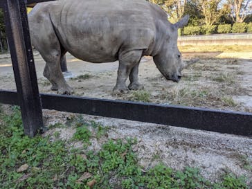 東武動物公園に投稿された画像（2021/10/25）
