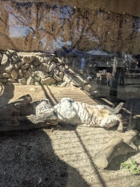 東武動物公園に投稿された画像（2021/10/25）