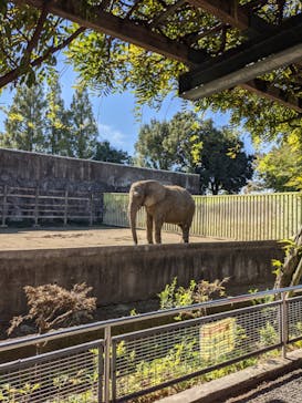 東武動物公園に投稿された画像（2021/10/25）