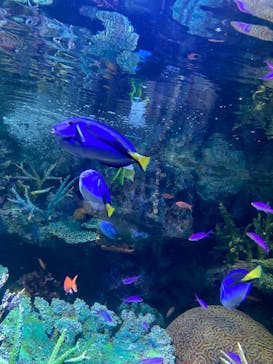 サンシャイン水族館に投稿された画像（2021/10/25）
