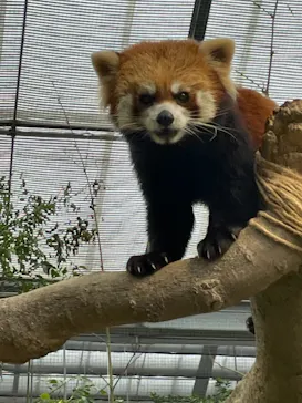 神戸どうぶつ王国に投稿された画像（2021/10/25）