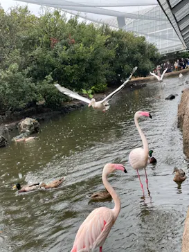 神戸どうぶつ王国に投稿された画像（2021/10/25）