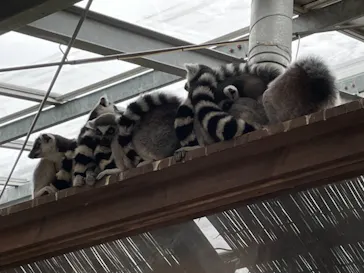 神戸どうぶつ王国に投稿された画像（2021/10/25）