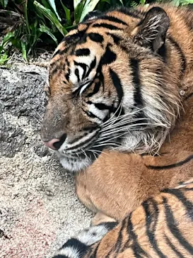 神戸どうぶつ王国に投稿された画像（2021/10/25）