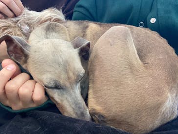 IPCわんわん動物園に投稿された画像（2021/10/25）