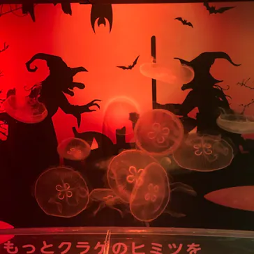 すみだ水族館に投稿された画像（2021/10/25）