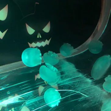 すみだ水族館に投稿された画像（2021/10/25）