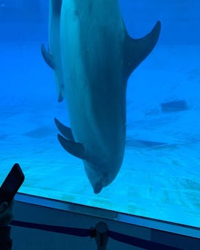 名古屋港水族館に投稿された画像（2021/10/25）
