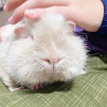 カワスイ 川崎⽔族館に投稿された画像（2021/10/25）