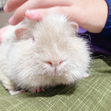 カワスイ 川崎⽔族館に投稿された画像（2021/10/25）