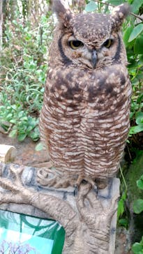 伊豆シャボテン動物公園に投稿された画像（2021/10/25）