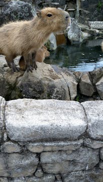 伊豆シャボテン動物公園に投稿された画像（2021/10/25）