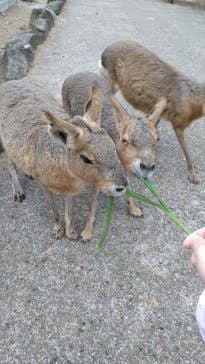 伊豆シャボテン動物公園に投稿された画像（2021/10/25）