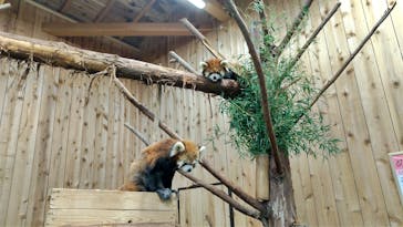 伊豆シャボテン動物公園に投稿された画像（2021/10/25）