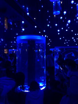 マクセル アクアパーク品川に投稿された画像（2021/10/25）