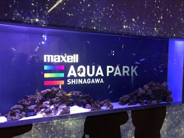 マクセル アクアパーク品川に投稿された画像（2021/10/25）