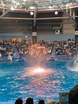 マクセル アクアパーク品川に投稿された画像（2021/10/25）