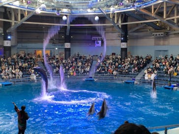 マクセル アクアパーク品川に投稿された画像（2021/10/25）