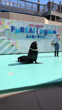 横浜・八景島シーパラダイスに投稿された画像（2021/10/25）